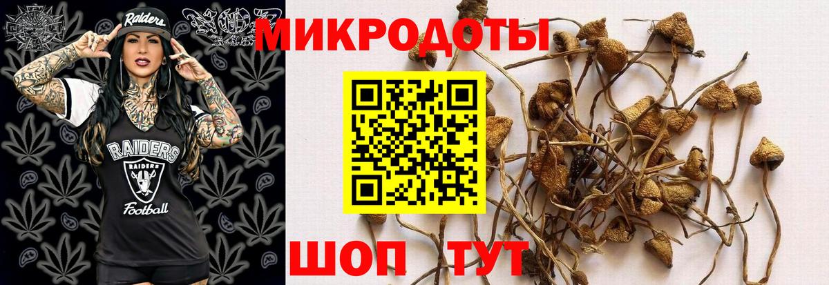 Псилоцибиновые грибы мухоморы  Вход с VPN  Ишимбай 